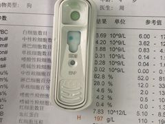 -泰洋动物医院·神经专科·磁共振·CT(天河公园总院)