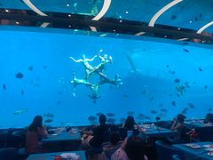 -瑞德姆美人鱼海底演艺主题餐厅(亚龙湾店)