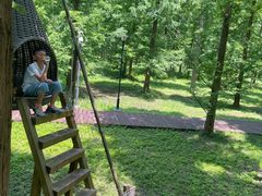 -黄海国家森林公园