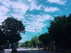 -台场海滨公园船码头