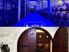 -北京张裕爱斐堡酒庄