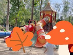 -合肥滨湖国家森林公园