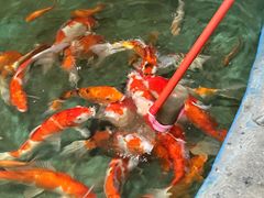 -嘉兴海底世界