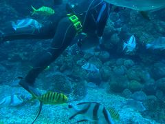 -海合安青岛极地海洋公园