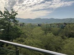 -陶祖圣境风景区