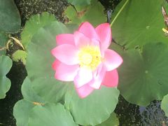 -南戴河国际娱乐中心