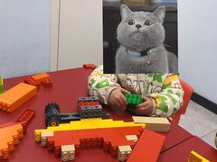 -蓝精灵创客少儿编程(百步亭中心)