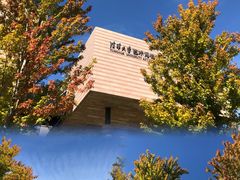 -清华大学艺术博物馆