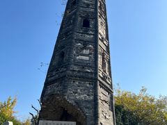 -上海佘山国家森林公园天马山园