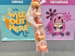 -栗子侠奶皮子糖葫芦(长宁店)