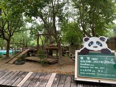 -上海野生动物园