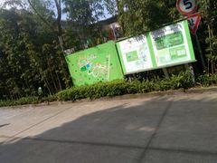 -铁山坪森林公园