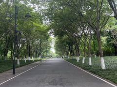 -东湖落雁景区