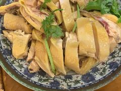 -九斤黄三黄鸡专卖店