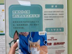 -瑞鹏宠物医院·夜间急症·心超·猫科(祖庙分店)