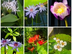 -国家植物园南园