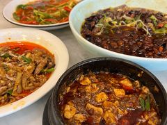 -陈麻婆豆腐总店
