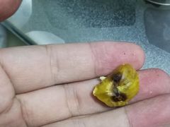 -栗栗香糖炒栗子(红勤楼店)