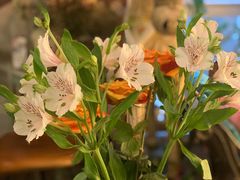 -六月花园咖啡馆(中关村东路店)