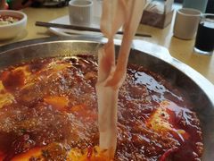 -田鸭肠·非遗火锅(彭州店)