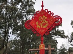 -南山植物园