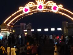 -武汉知音号
