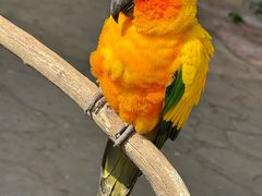 -济南野生动物世界