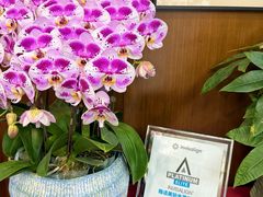 -方津口腔(旺墩路店)