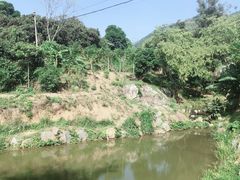 -泉州海丝野生动物世界