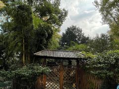 -静安公园(静安寺街道)