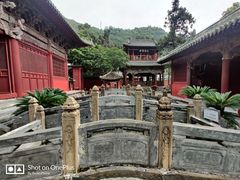 -报恩寺(平武县)