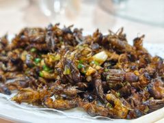 -天强农家菜馆