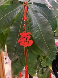 -永琪美容美发