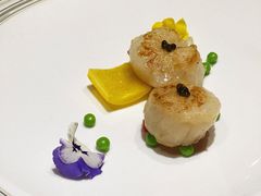 鱼子酱香煎带子皇-皇朝会.经典传统粤菜(外滩店)