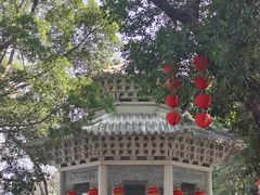 -荔湾湖公园