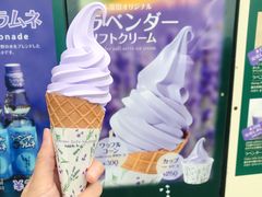 -富田农场
