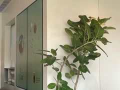 -喜茶(东莞厚街万达店)