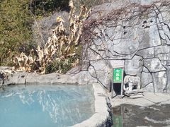 -天芳悦潭度假村温泉