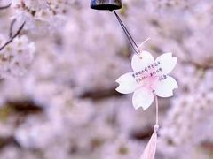 -南京外国语学校(仙林分校西区)