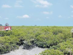 -北海金海湾红树林生态旅游区
