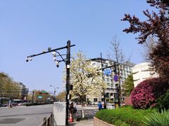 -中国茶叶博物馆(双峰馆区)
