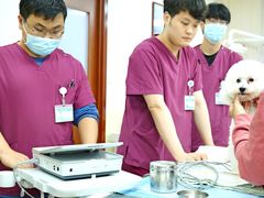 -美联众合动物医院·24h转诊中心
