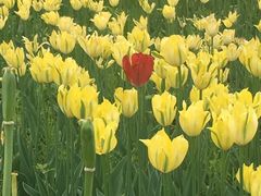 -长春公园(普阳街道)