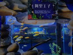 -白鹿仓冰雪海洋世界