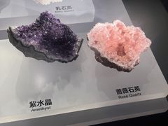 -重庆自然博物馆(新馆)