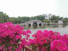 -大屏嶂森林公园