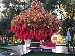 -狼山风景名胜区