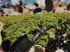 -盐禾堂海南屯昌香草鸭(总店)