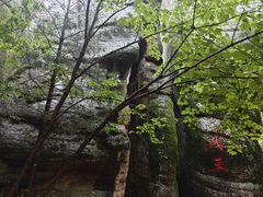 -汤旺河林海奇石景区