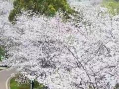 -千龙湖生态旅游度假区